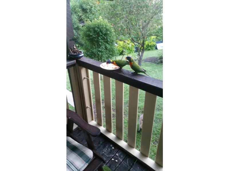 23 Mahogany Drive, Pillar Valley NSW 2462