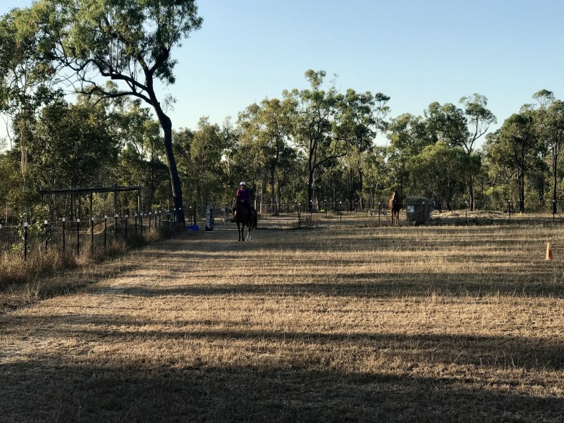 12 Holstein Place, Black River QLD 4818