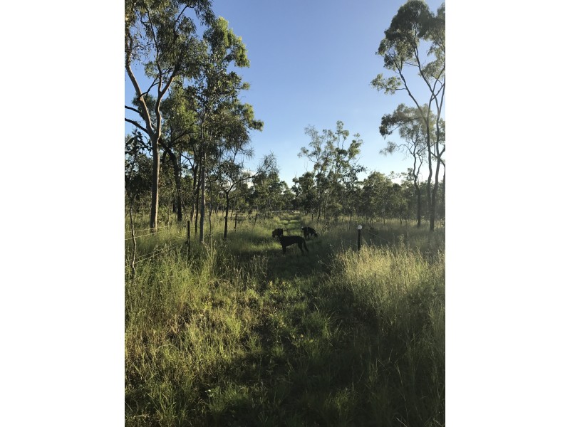 12 Holstein Place, Black River QLD 4818