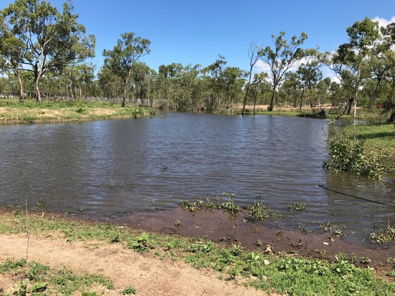 12 Holstein Place, Black River QLD 4818