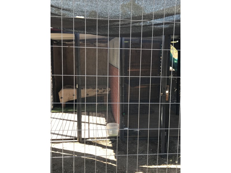 12 Holstein Place, Black River QLD 4818