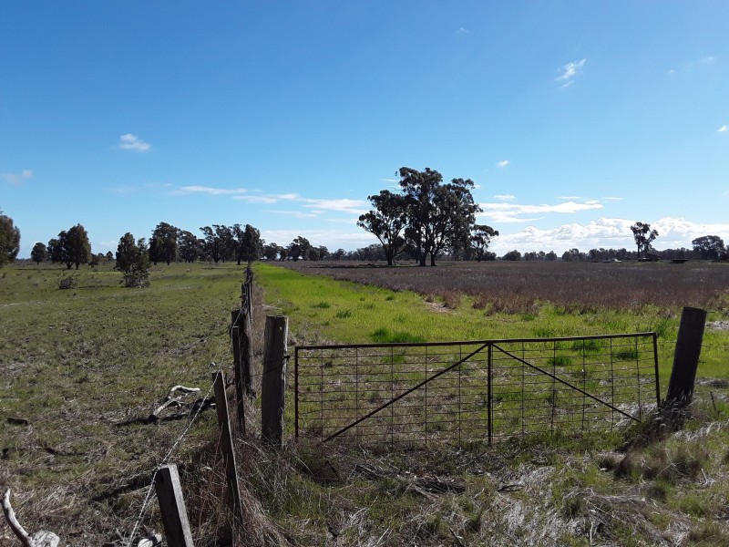 167 Holmes Rd, Mundoona VIC 3635