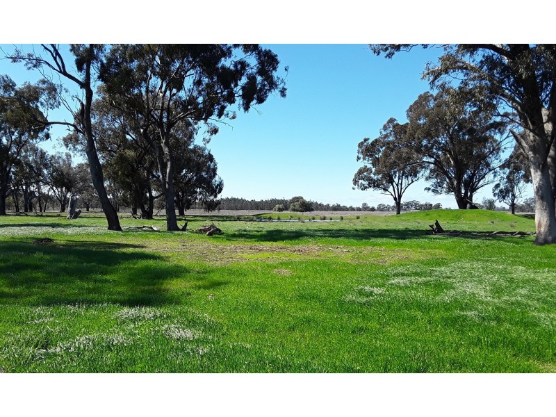 167 Holmes Rd, Mundoona VIC 3635