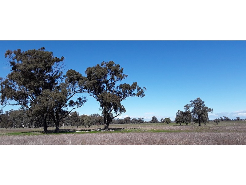 167 Holmes Rd, Mundoona VIC 3635