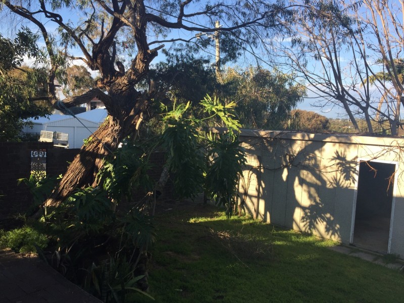 52 Bailey st, Trigg WA 6029