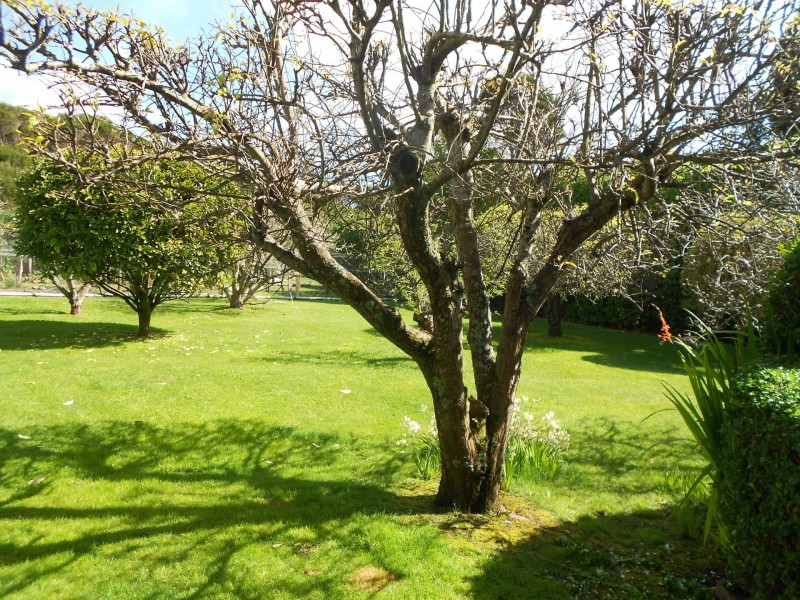 125 Esplanade King Island, Naracoopa TAS 7256