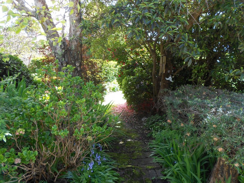 125 Esplanade King Island, Naracoopa TAS 7256