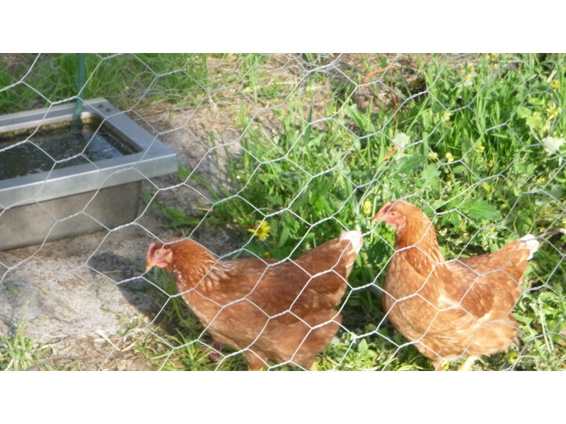 615 Rowley Road, Forrestdale WA 6112