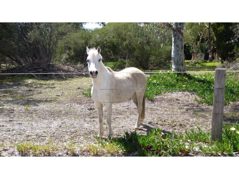 615 Rowley Road, Forrestdale WA 6112