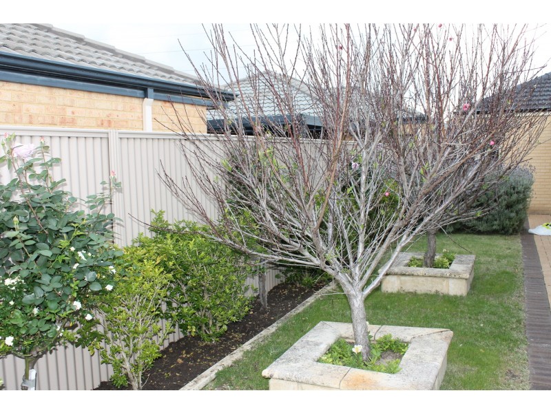 102 Furley Road, Southern River WA 6110