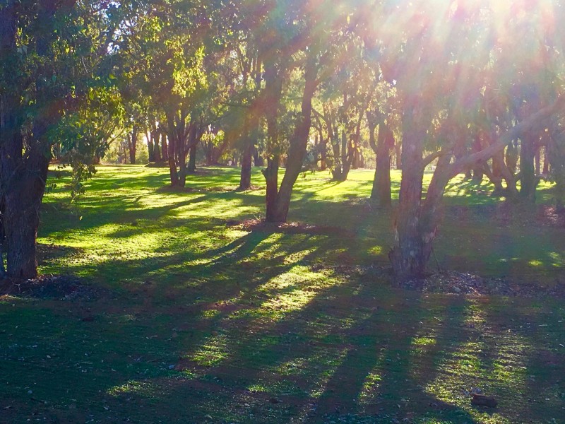 3 Cycad Crescent, Wundowie WA 6560