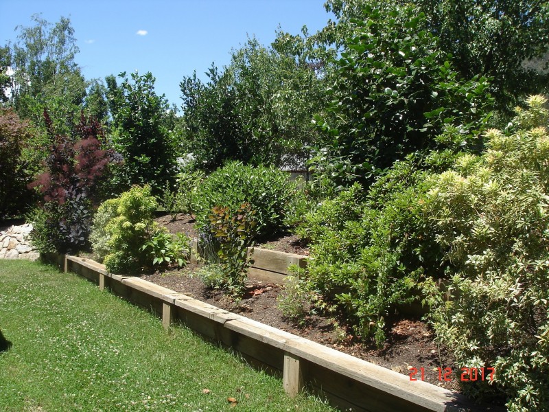 15 Walnut Grove, Bright VIC 3741