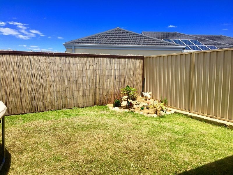 23 Carmathen Ave, Butler WA 6036