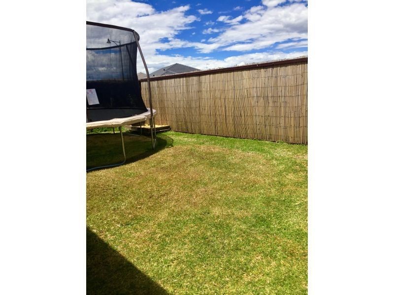 23 Carmathen Ave, Butler WA 6036