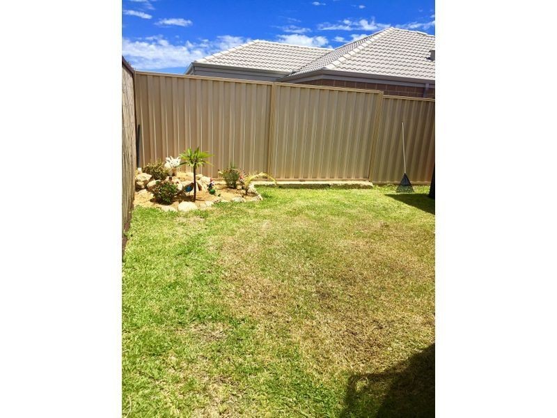 23 Carmathen Ave, Butler WA 6036