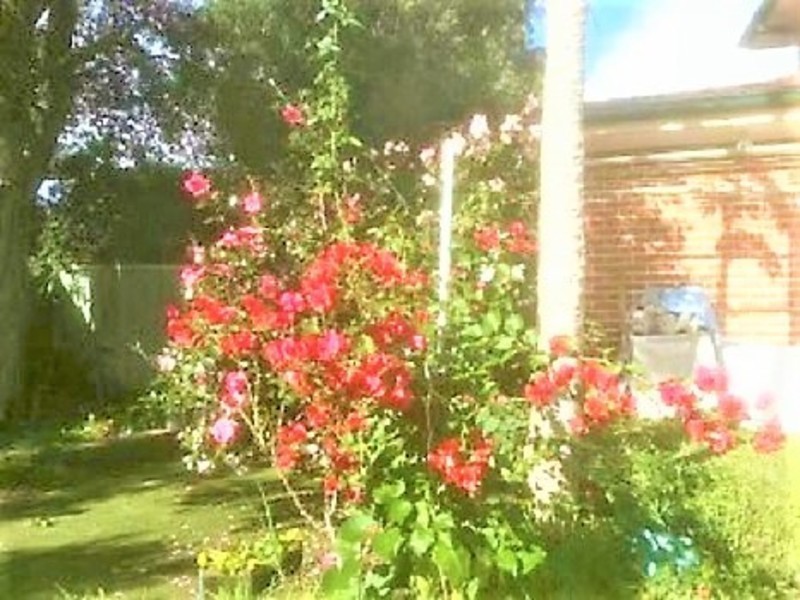 2/169C Pennant Hills Rd, Carlingford NSW 2118