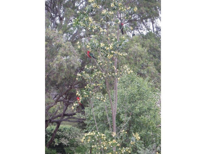 11 Gammons Rd, Wy Yung VIC 3875