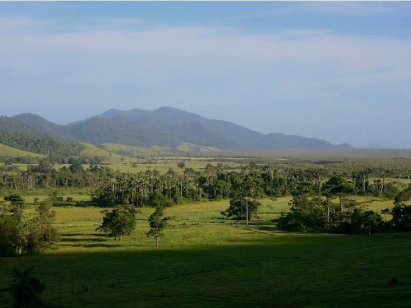 1150 Bramston Beach Road, Bramston Beach QLD 4871