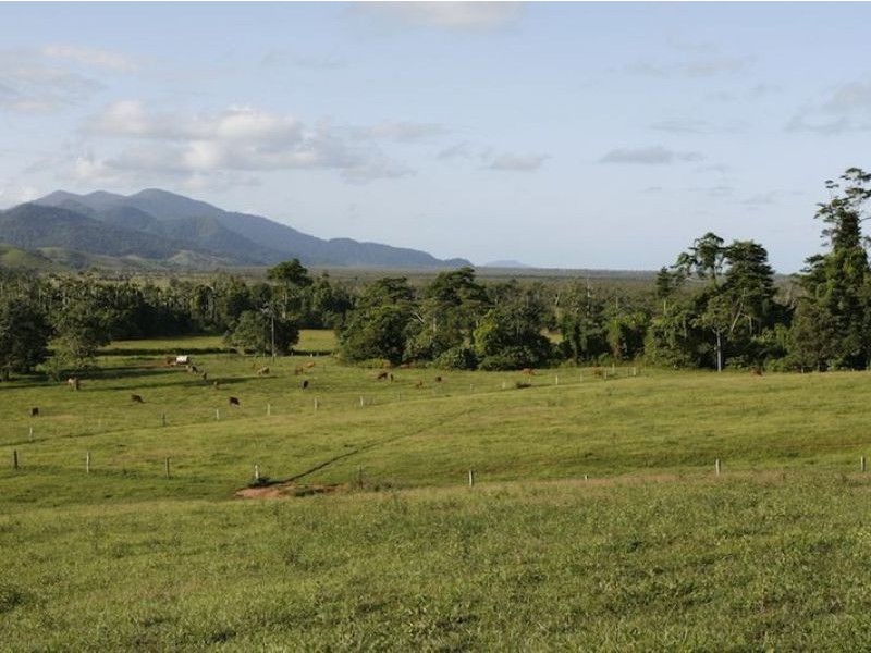 1150 Bramston Beach Road, Bramston Beach QLD 4871