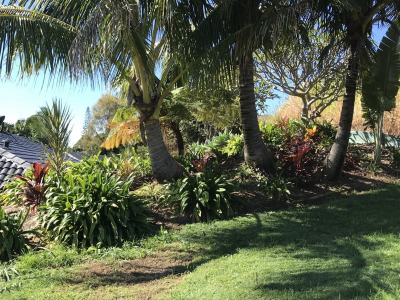 1/12-16 Cupania Court, Tweed Heads West NSW 2485