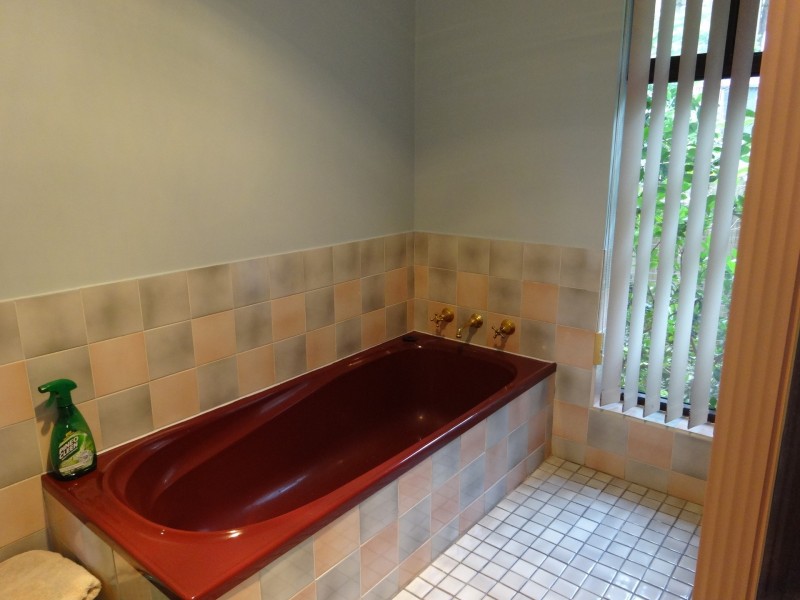 4 Woodward Street North, Repton NSW 2454