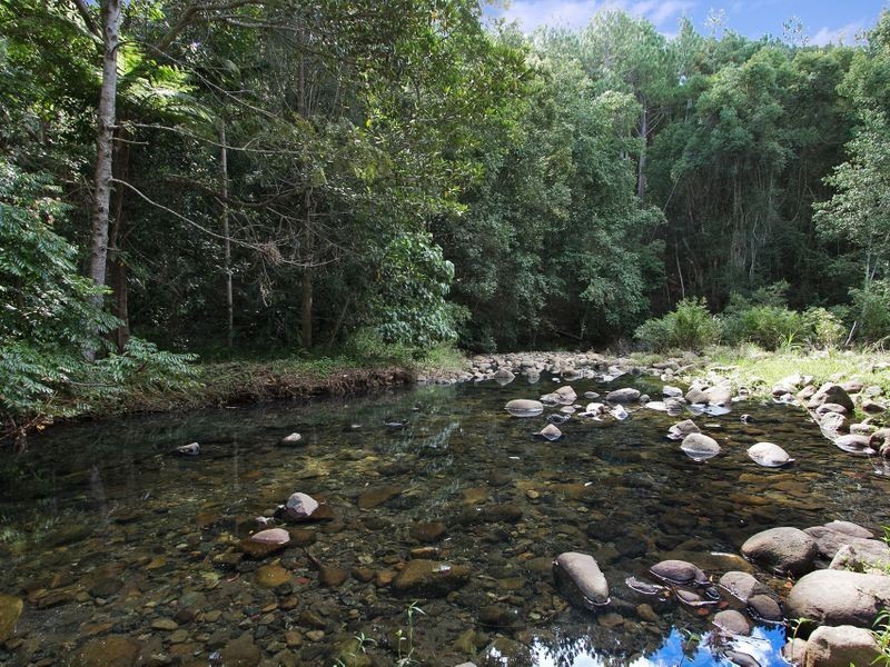 134 Mt Warning Rd, Uki NSW 2484
