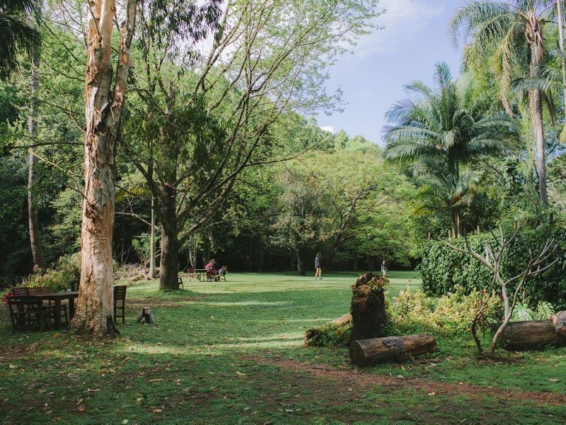 134 Mt Warning Rd, Uki NSW 2484