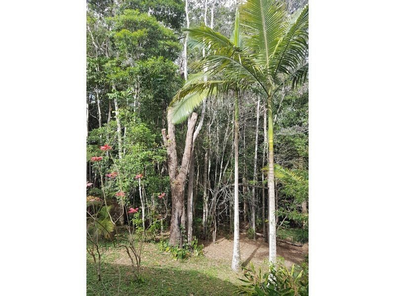22 Warril Dr, Kuranda QLD 4881