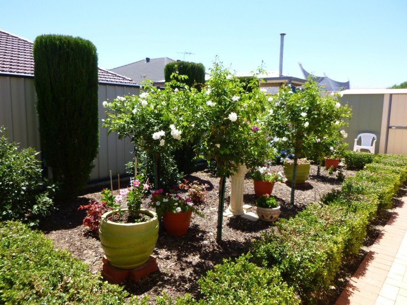 38 Narrien Loop, Hocking WA 6065
