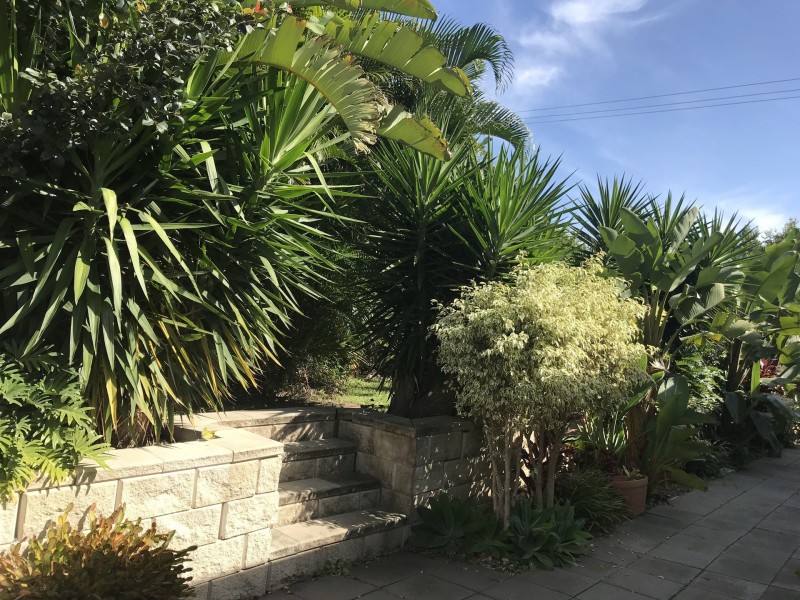 23 Cerbaia Close, Bridgeman Downs QLD 4035