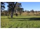 10 Jillaroo Way, Muswellbrook NSW 2333