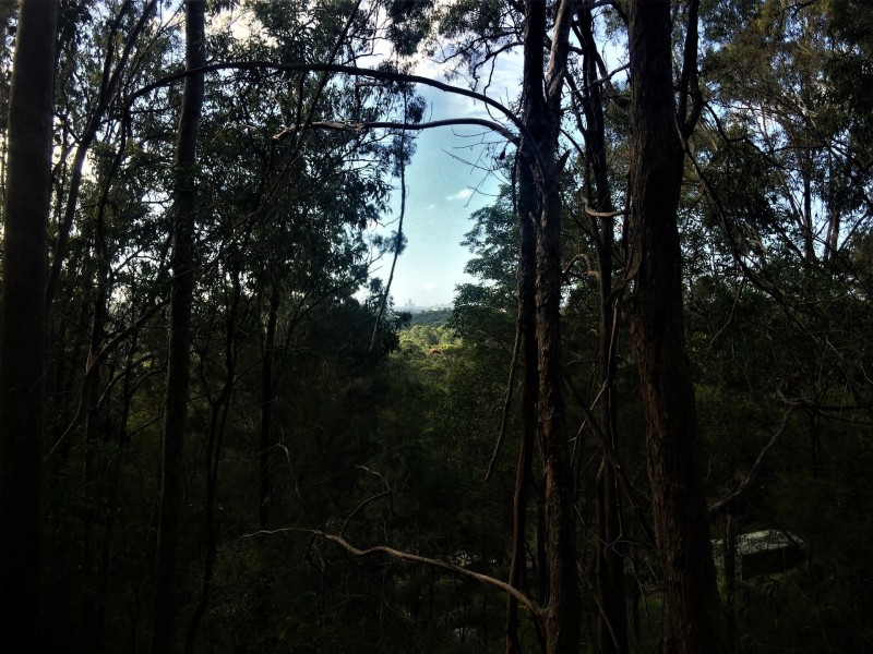 7 Mount Olive Court, Mudgeeraba QLD 4213