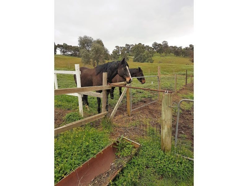 51 Richardson Road, Lower Hermitage SA 5131