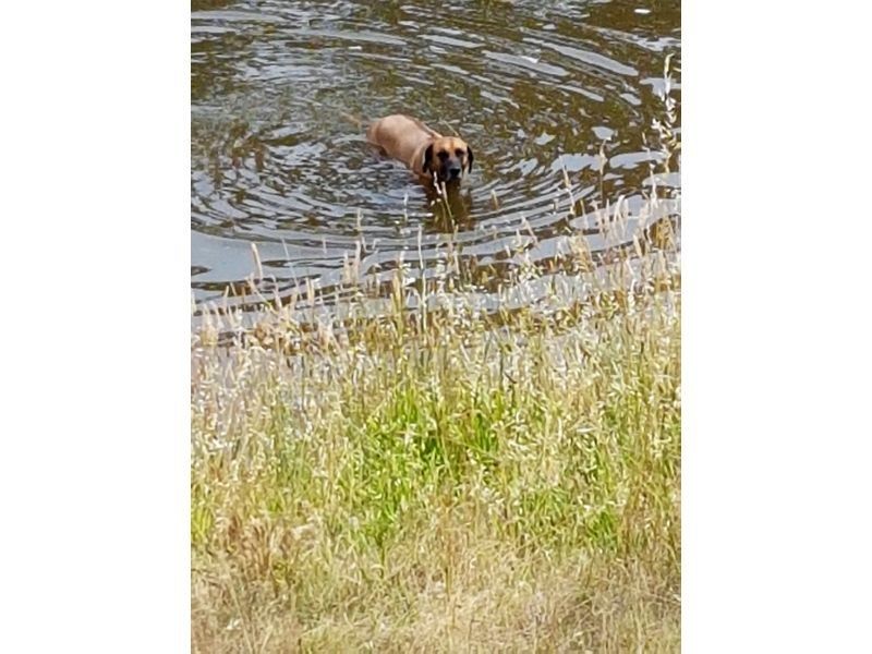 51 Richardson Road, Lower Hermitage SA 5131