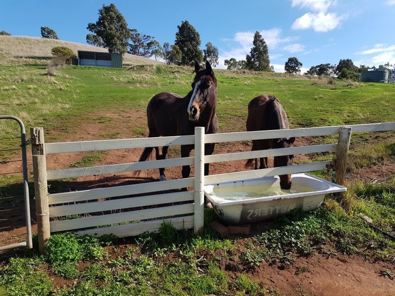 51 Richardson Road, Lower Hermitage SA 5131