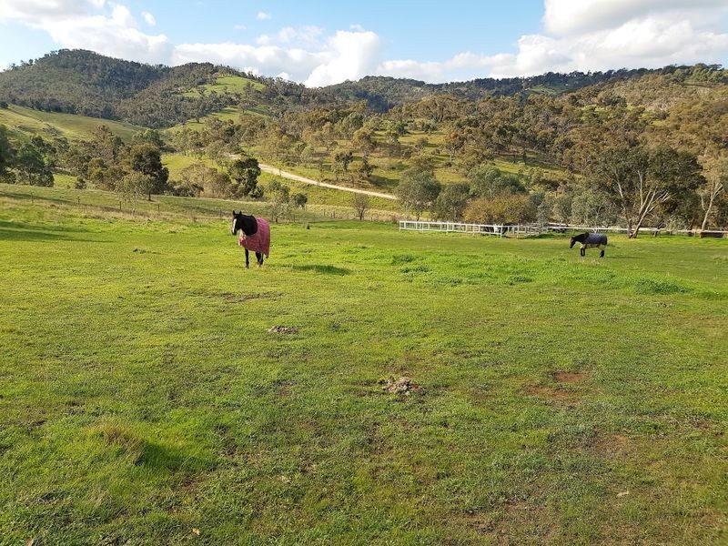 51 Richardson Road, Lower Hermitage SA 5131