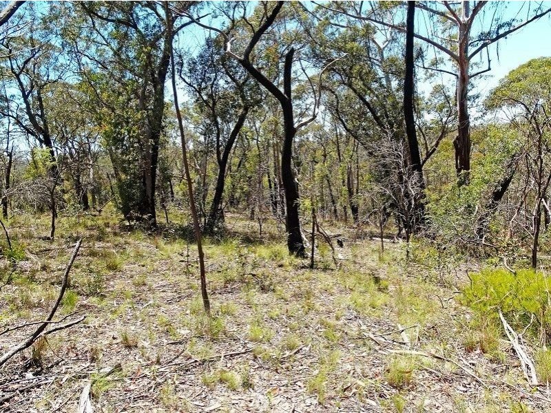 17 Chatsworth Road, Mount Victoria NSW 2786