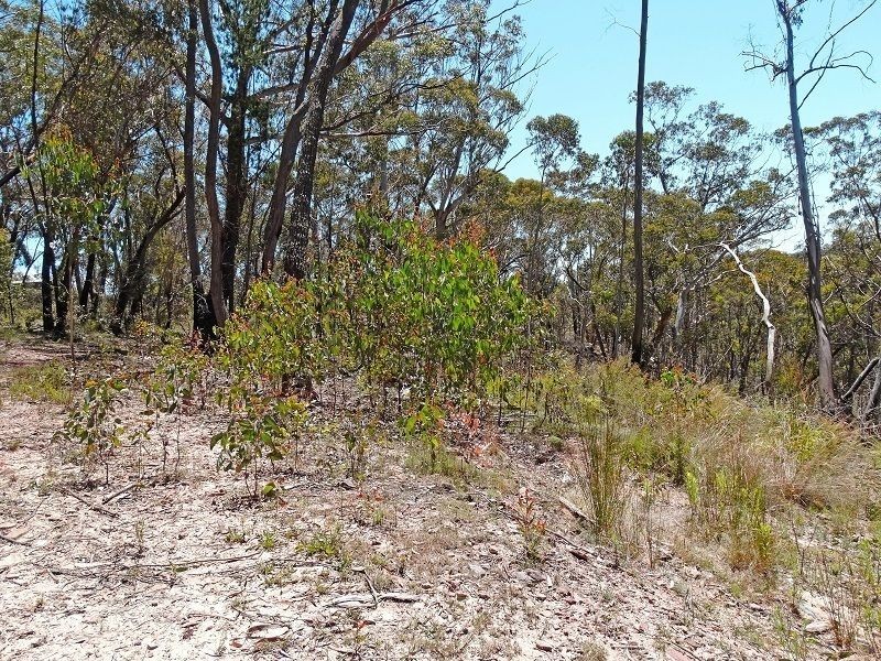 17 Chatsworth Road, Mount Victoria NSW 2786