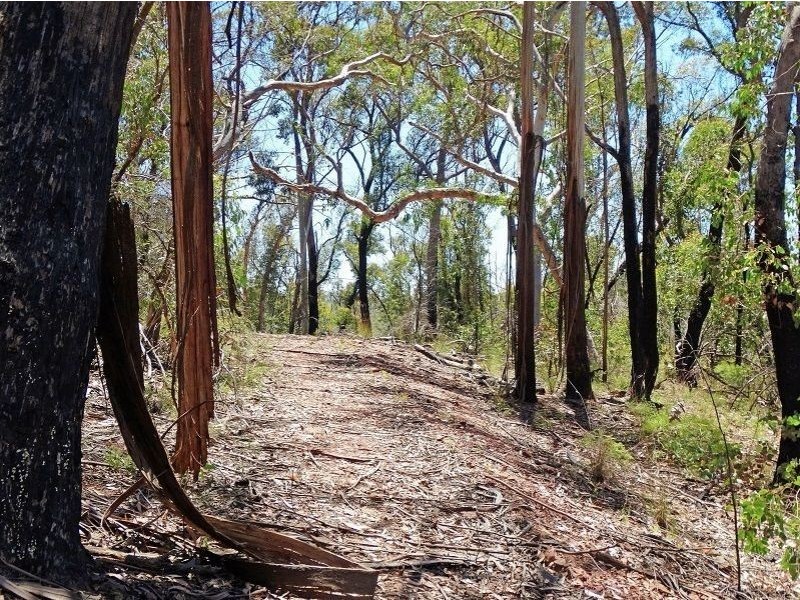 17 Chatsworth Road, Mount Victoria NSW 2786