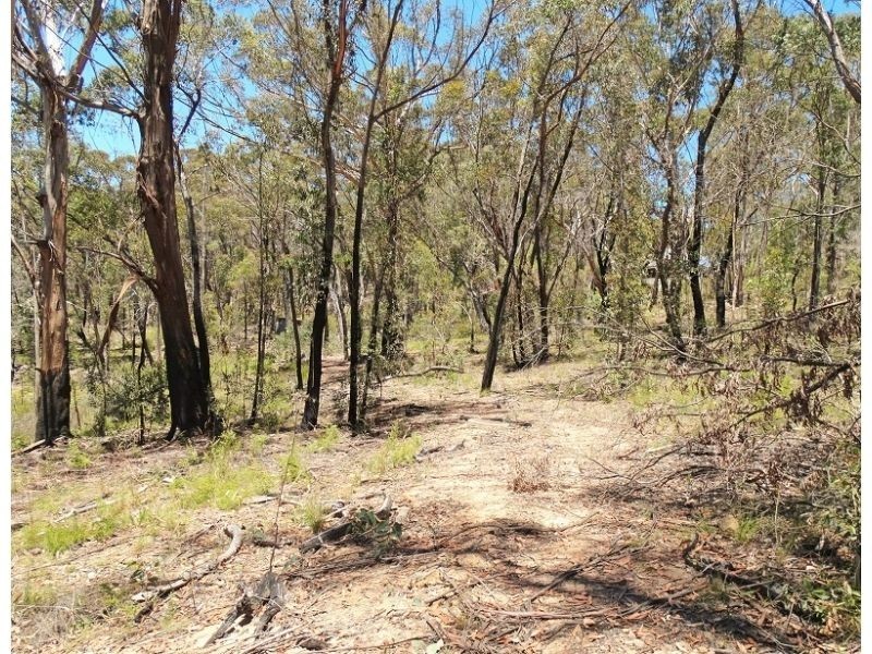 17 Chatsworth Road, Mount Victoria NSW 2786