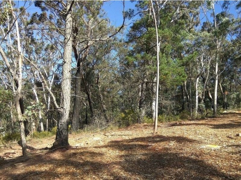 17 Chatsworth Road, Mount Victoria NSW 2786