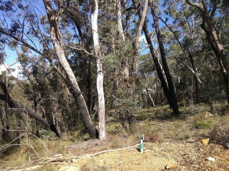 17 Chatsworth Road, Mount Victoria NSW 2786