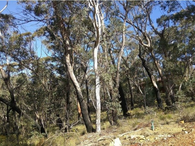 17 Chatsworth Road, Mount Victoria NSW 2786