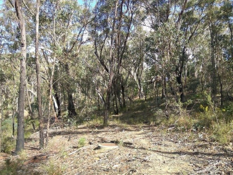 17 Chatsworth Road, Mount Victoria NSW 2786