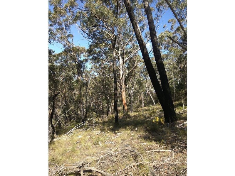 17 Chatsworth Road, Mount Victoria NSW 2786