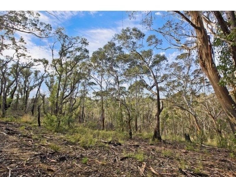 17 Chatsworth Road, Mount Victoria NSW 2786