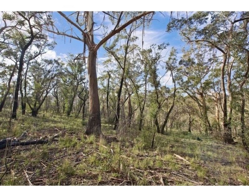 17 Chatsworth Road, Mount Victoria NSW 2786