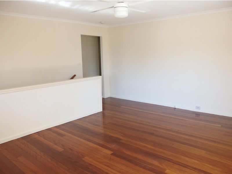 51 Alpinia St, Alexandra Hills QLD 4161