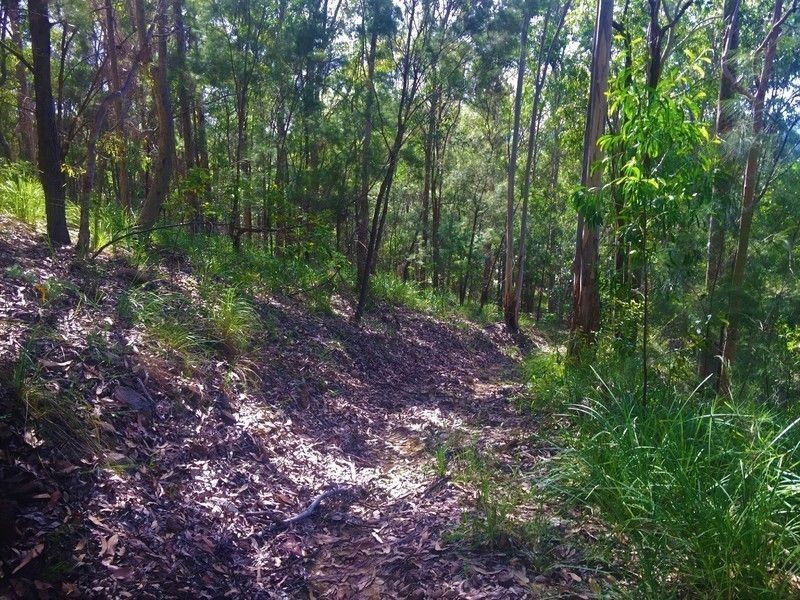 7 Mount Olive Court, Mudgeeraba QLD 4213