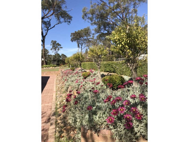 42-50 Exeter Road, Buxton NSW 2571